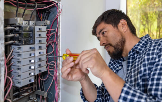 Best Residential Electrician Services  in Lewisburg, KY